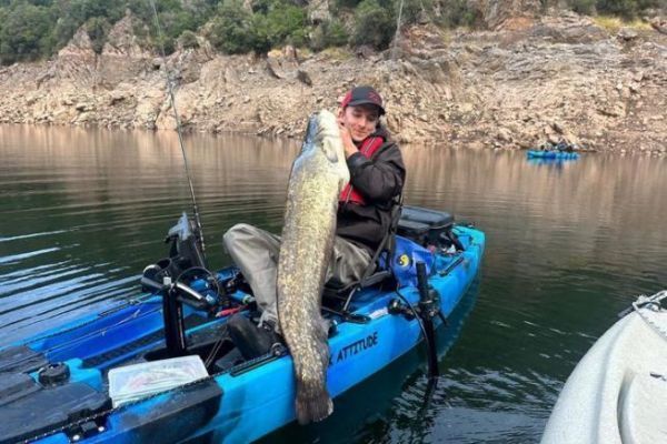 Catfish Fishing with Bait