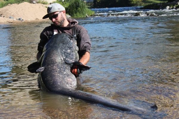 catfish fishing is excellent in early autumn!
