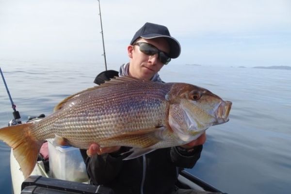 Fishing for dentex with squid