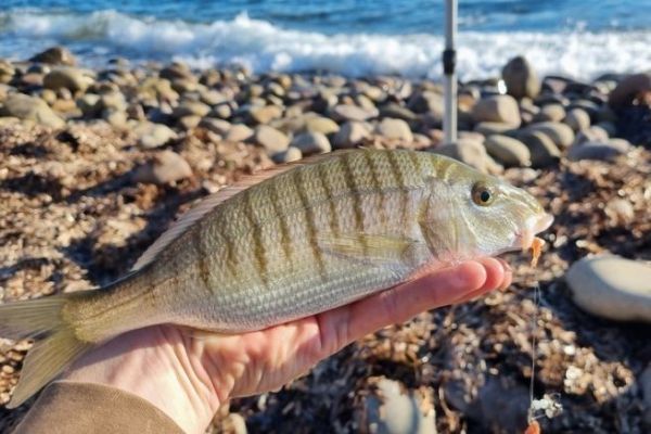 Marble fishing with bait