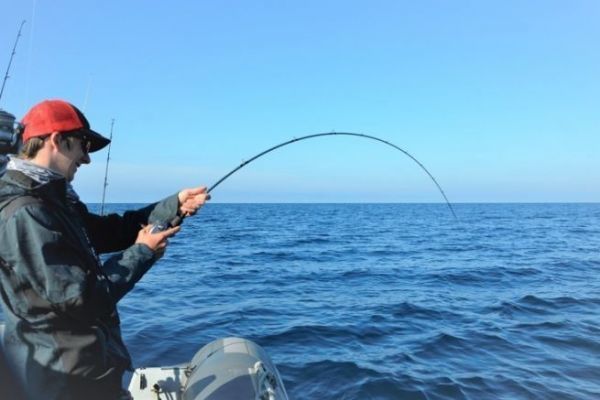 Mandatory catch declaration in 2026