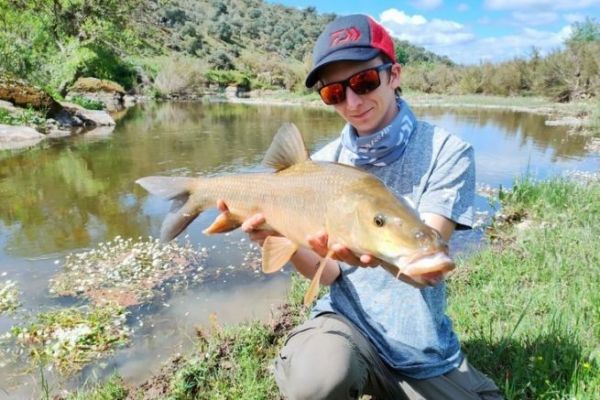 Comizo barbel fishing with lures