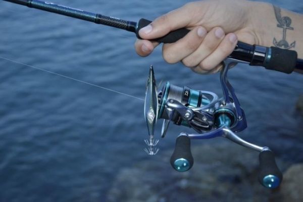 Choosing your eging reel