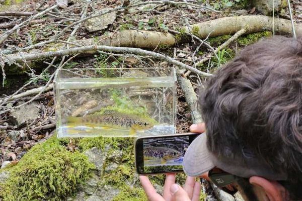 Using a nano aquarium for fishing