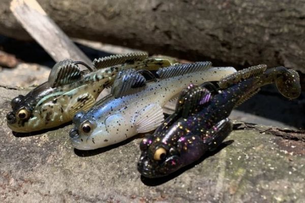 This goby is really successful and effective!