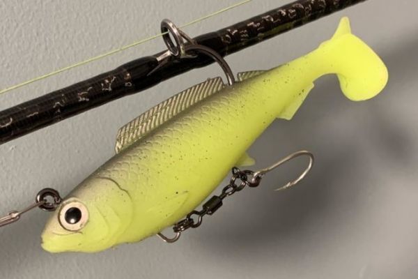 The HerculeZ is solid!