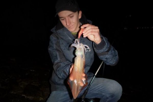 Which spots for squid?