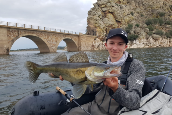 Fish under or near bridges