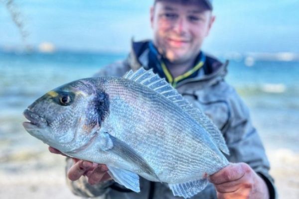 A beautiful sea bream caught on a sheltered beach in North Finistre