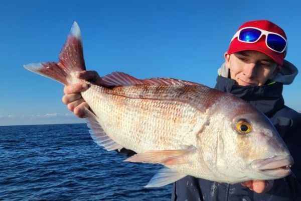 Techniques for catching pike-perch