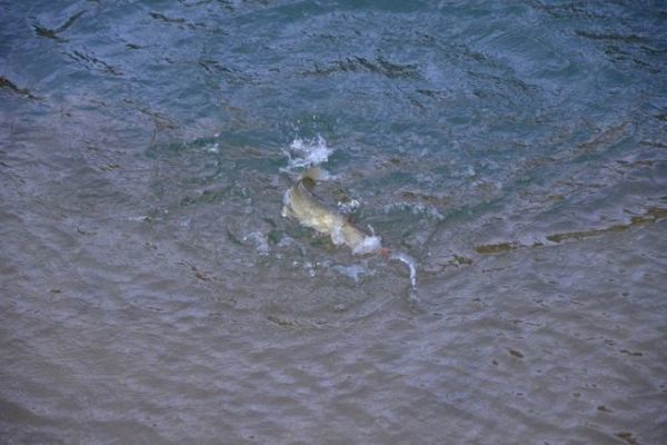 Start fishing in winter