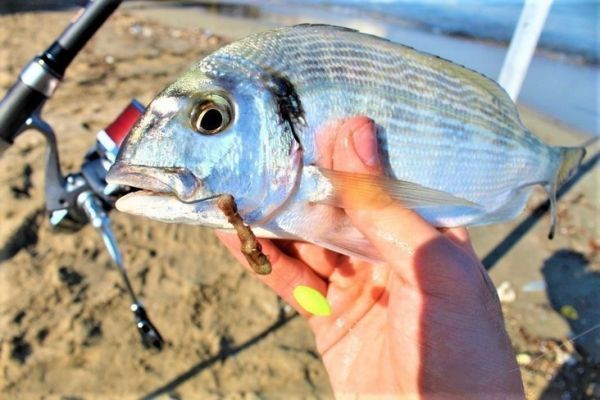 Floating beads for surfcasting