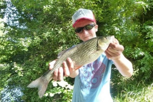 Lure fishing for chub