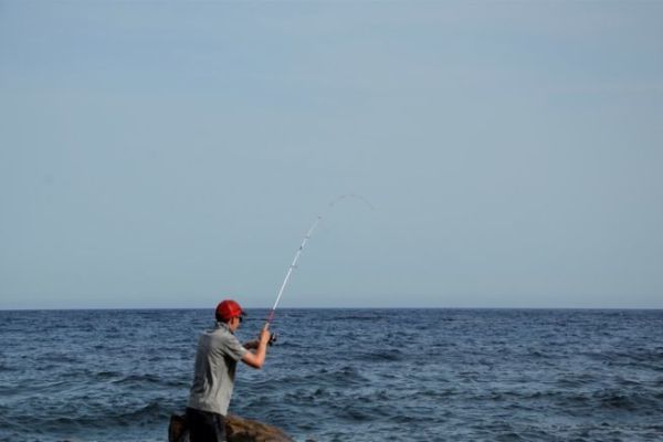 Light Tackle Sea Fishing