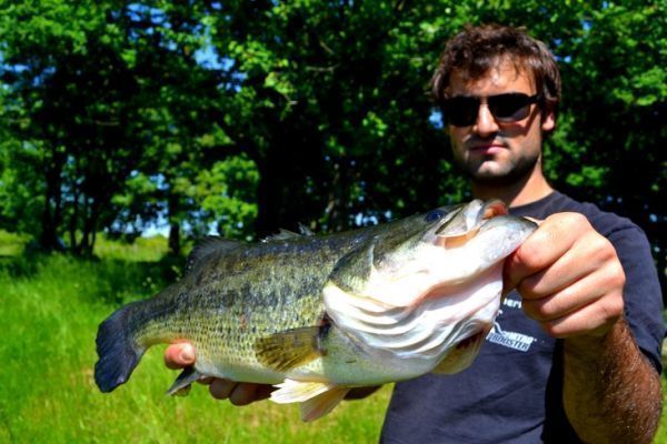 Summer surface fishing