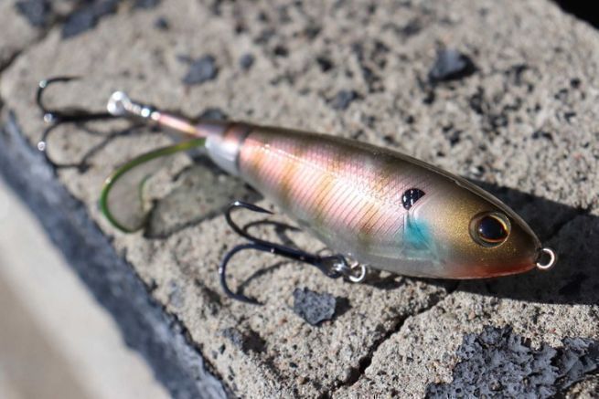 The Berkley choppo surface lure, a reference for black bass.