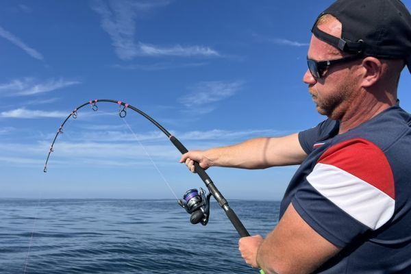 Bluefin tuna in summer