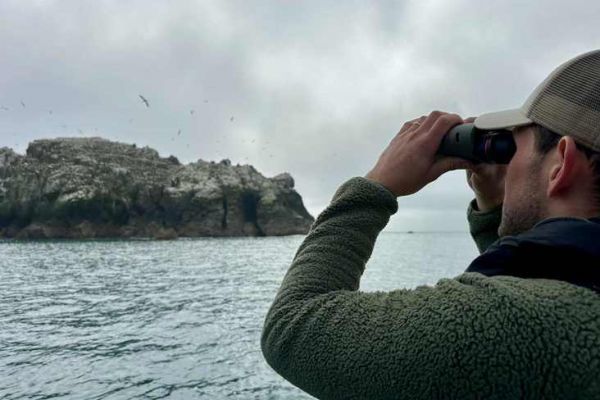 The use of stabilized binoculars has become commonplace for the assiduous tuna angler. To try them is to realize