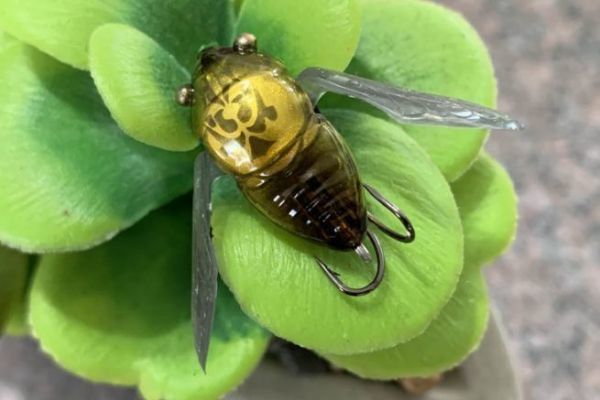 The nano siglett measures 2.4 cm.