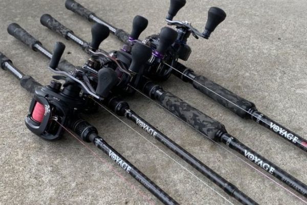 Bone is a benchmark for multi-strand rods.