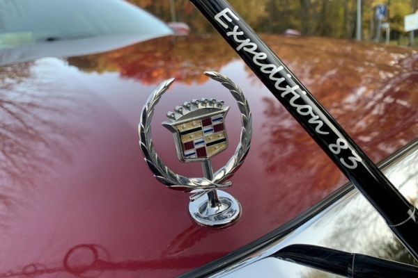 Cadillac and Zenaq, 2 references in their field.
